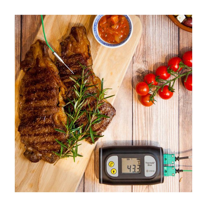 ThermaQ App, for ETI Bluetooth LE Thermometer (Info) - PSE