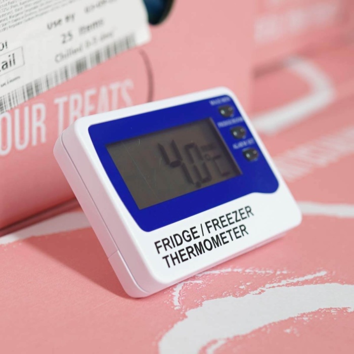 Fridge freezer thermometer - Fridge Alarm Thermometer