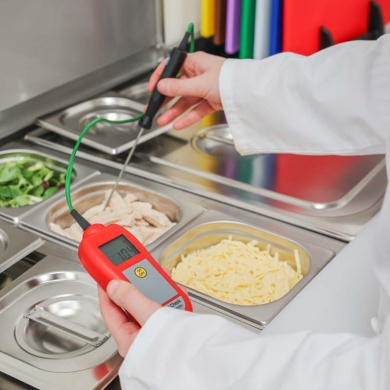 Food Check Hand Held Thermometer