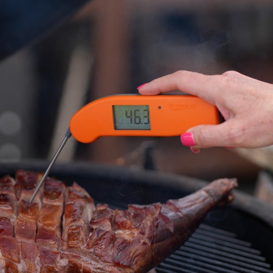 ETI | Thermapen ONE Instant-Read Food Probe Thermometer | 235-447