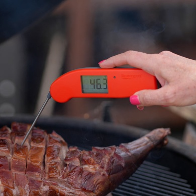 ETI | Thermapen ONE Instant-Read Food Probe Thermometer | 235-447