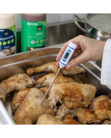 810-260 Pen Shaped Pocket Thermometer