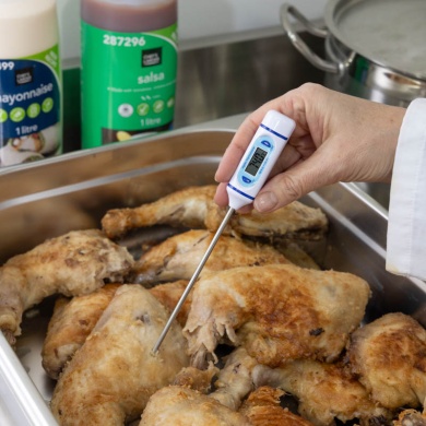 810-260 Pen Shaped Pocket Thermometer