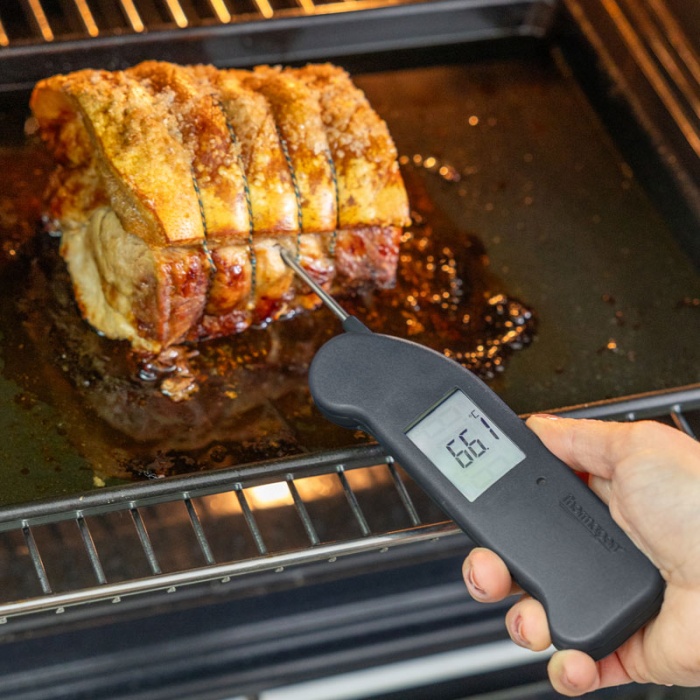RFX Thermapen Kit | Kitchen Thermometer Duo