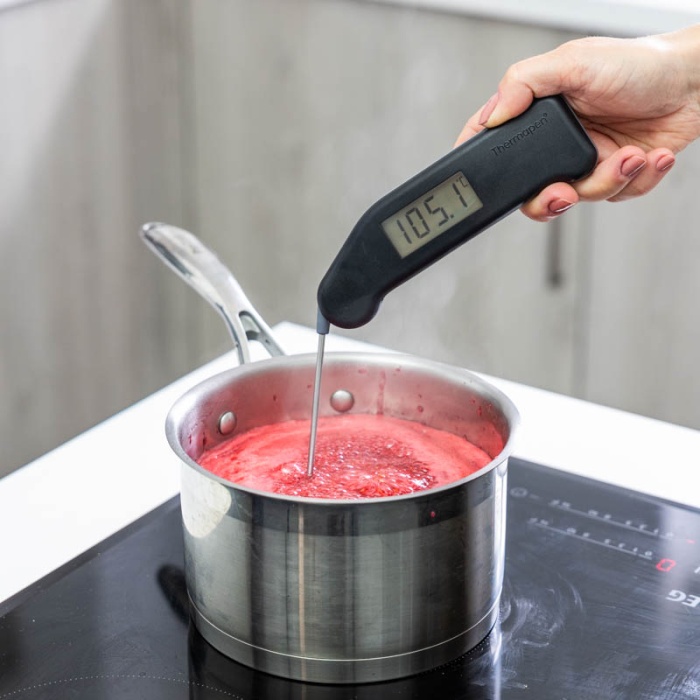 860-197  RFX Thermapen Classic Kit