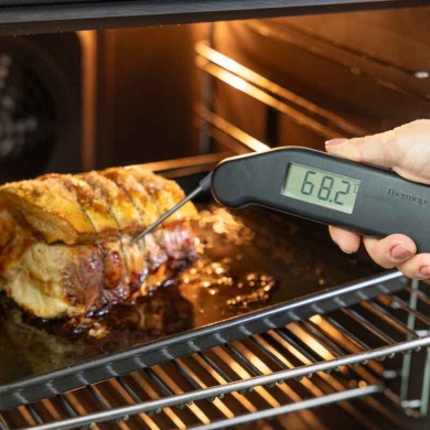 860-197  RFX Thermapen Classic Kit