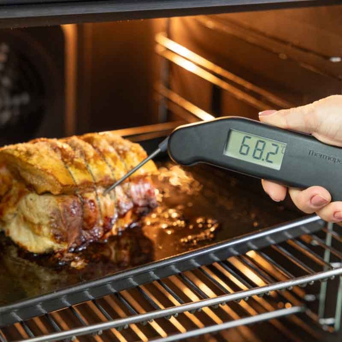 860-197  RFX Thermapen Classic Kit