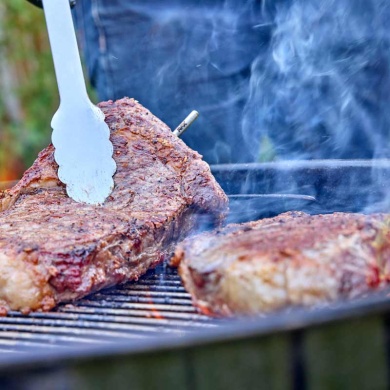 RFX Starter Kit | Wireless Cooking Thermometer for Business