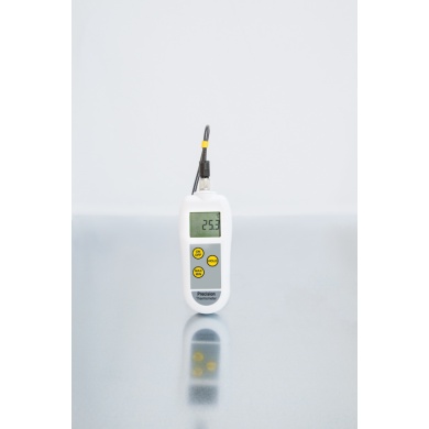 Precision PT100 Thermometer