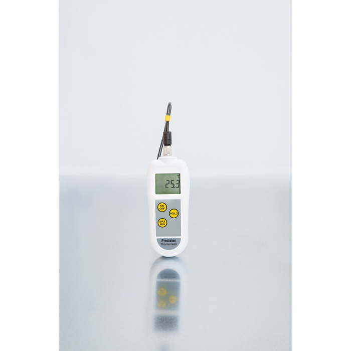 Precision PT100 Thermometer