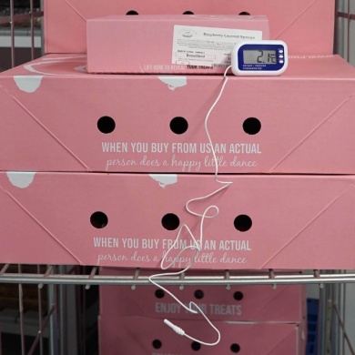 Premium Café Thermometer Kit  -  Trusted Compliance Tools