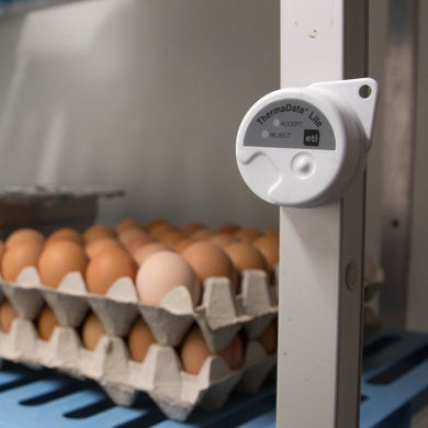 ThermaData Lite logger Data Logger