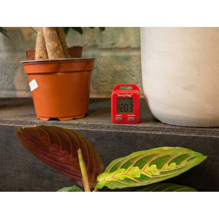 TempTag Micro Max/Min Thermometer