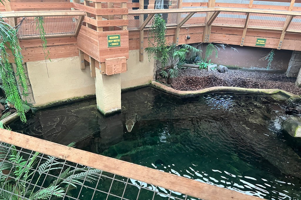 Smart Reptile Monitoring with Crocodiles of the World