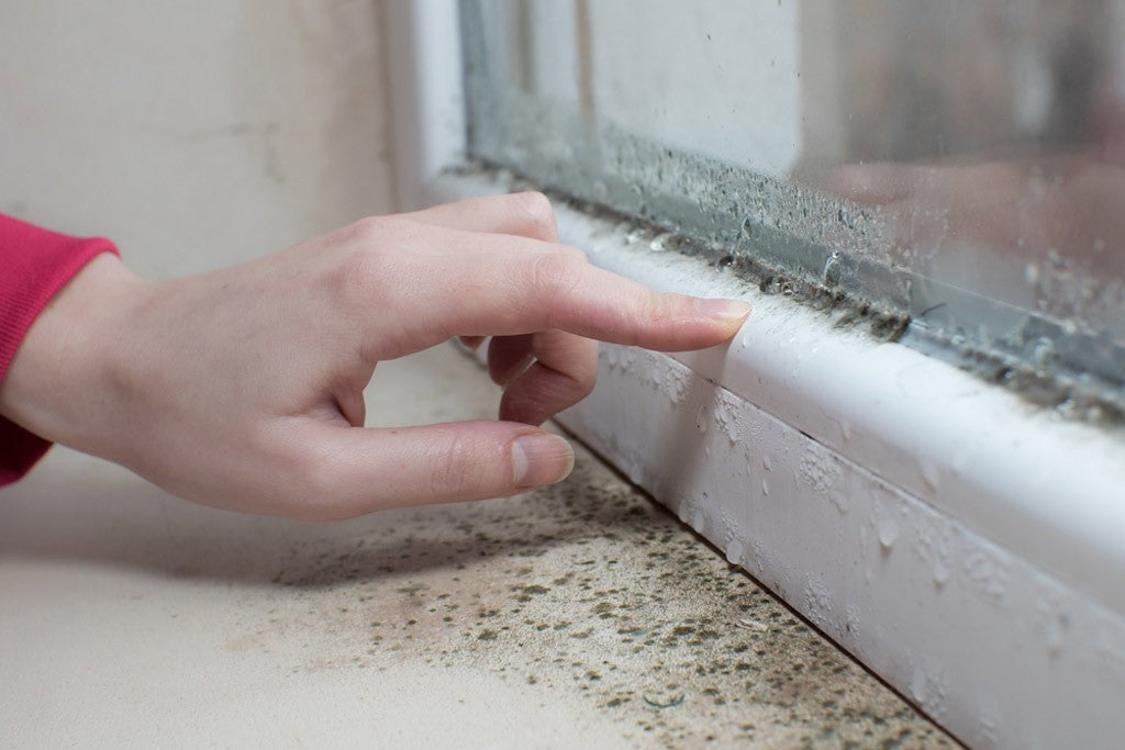 Finger pointing at condensation and mould around a window