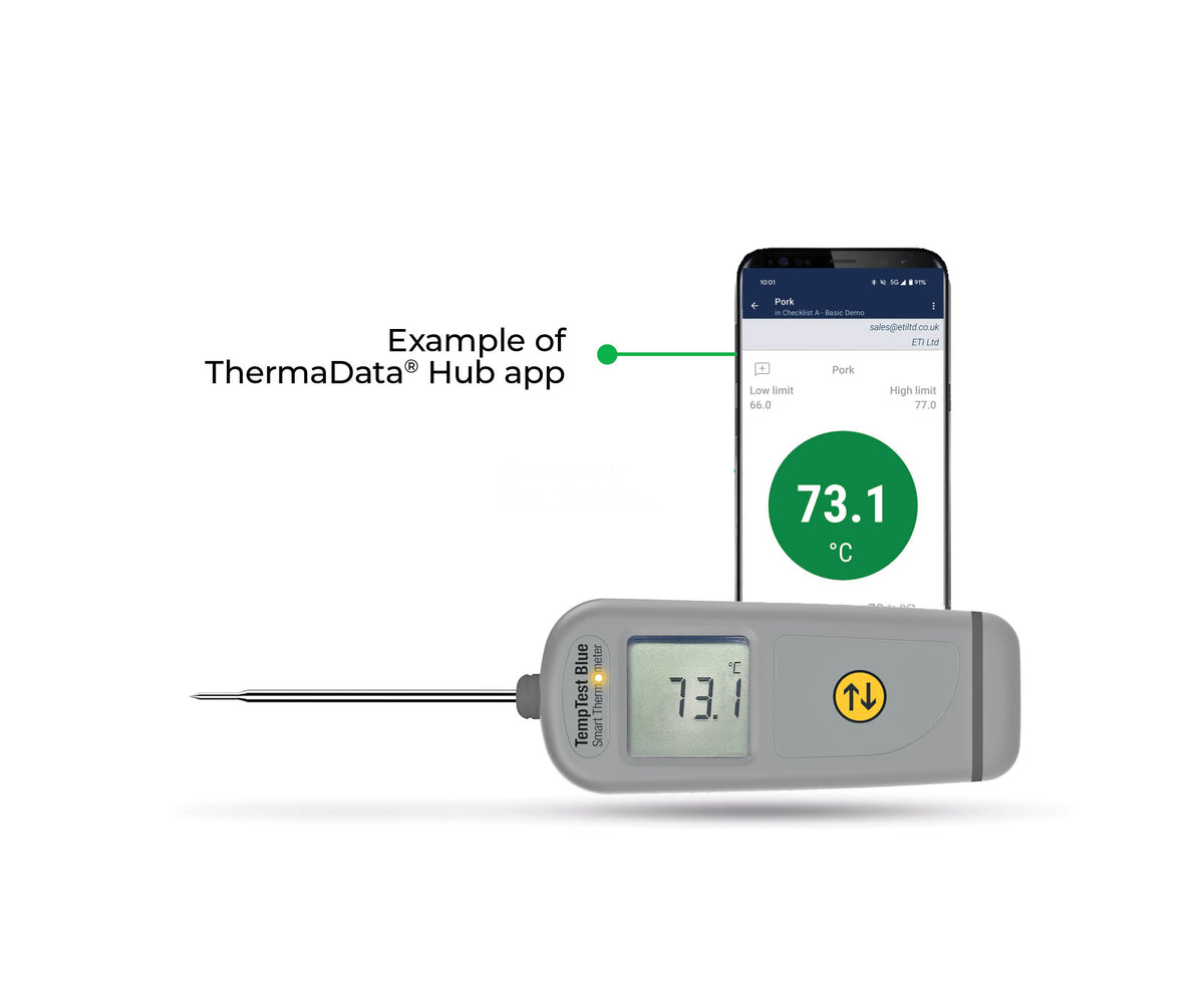 TempTest Blue Thermometer