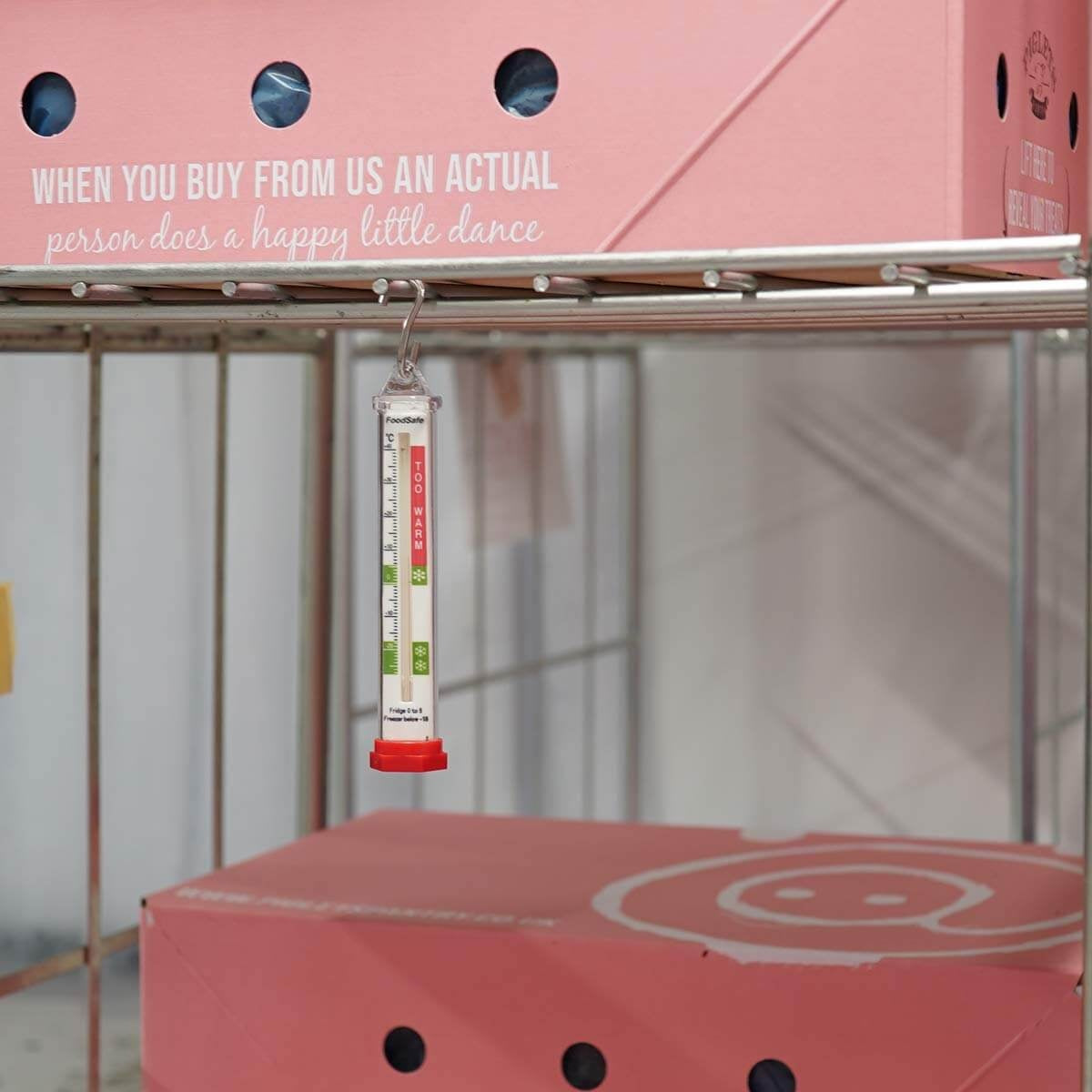FoodSafe Fridge Freezer Thermometer | Food Temperature Simulant