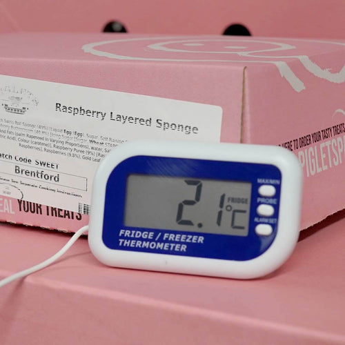 Digital Fridge Freezer Alarm Thermometer | 810-225