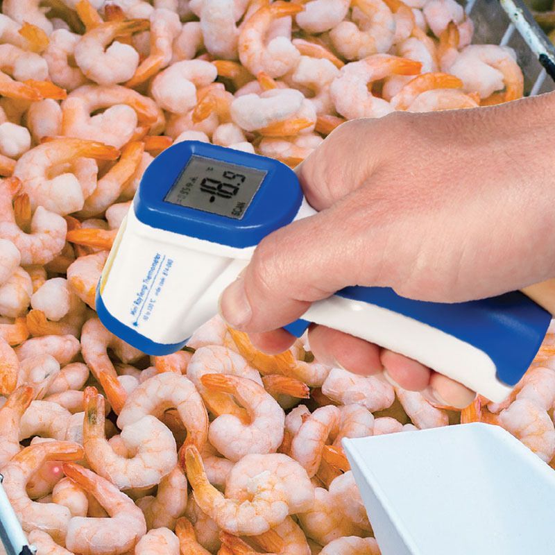 Mini RayTemp - Infrared Thermometer
