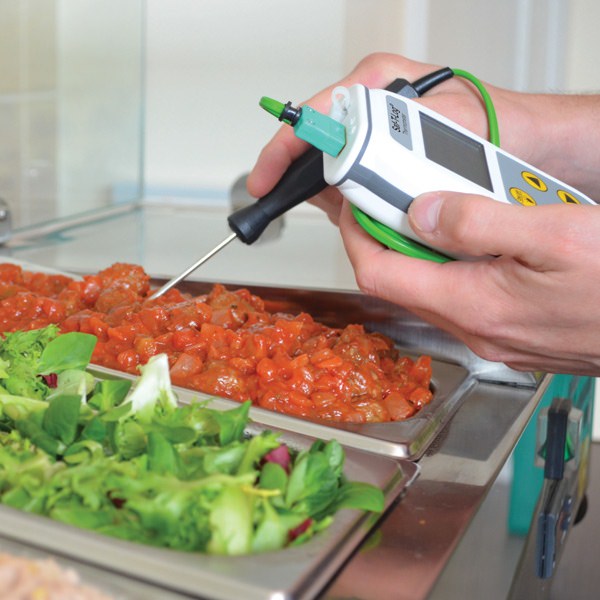 Saf-T-Log with FREE type K penetration probe