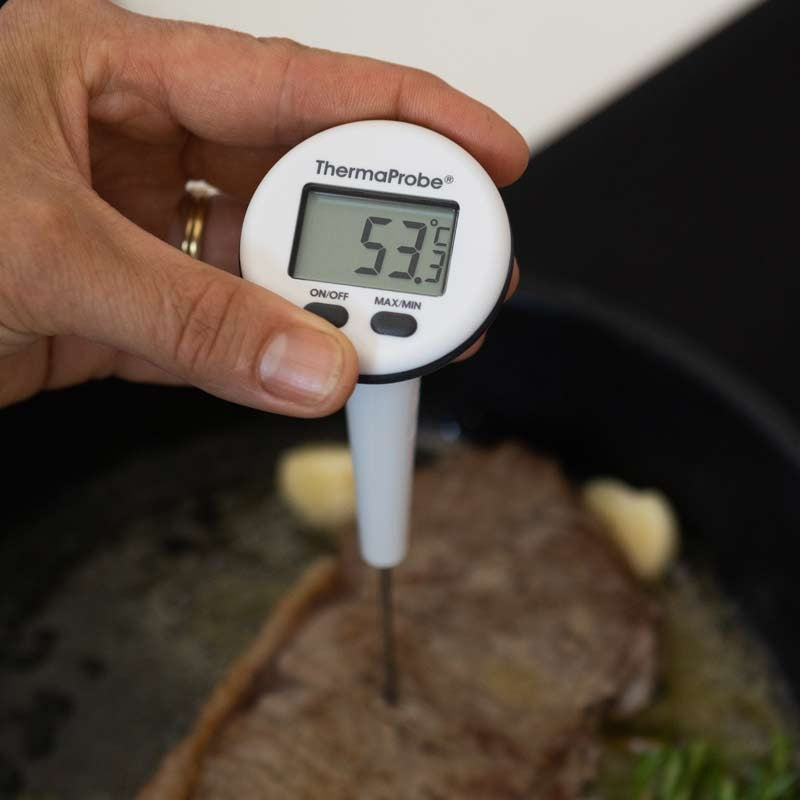 ThermaProbe Waterproof Thermometer with Rotating Display